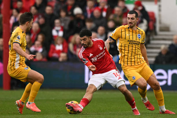 奏都被那不 奏都被那不